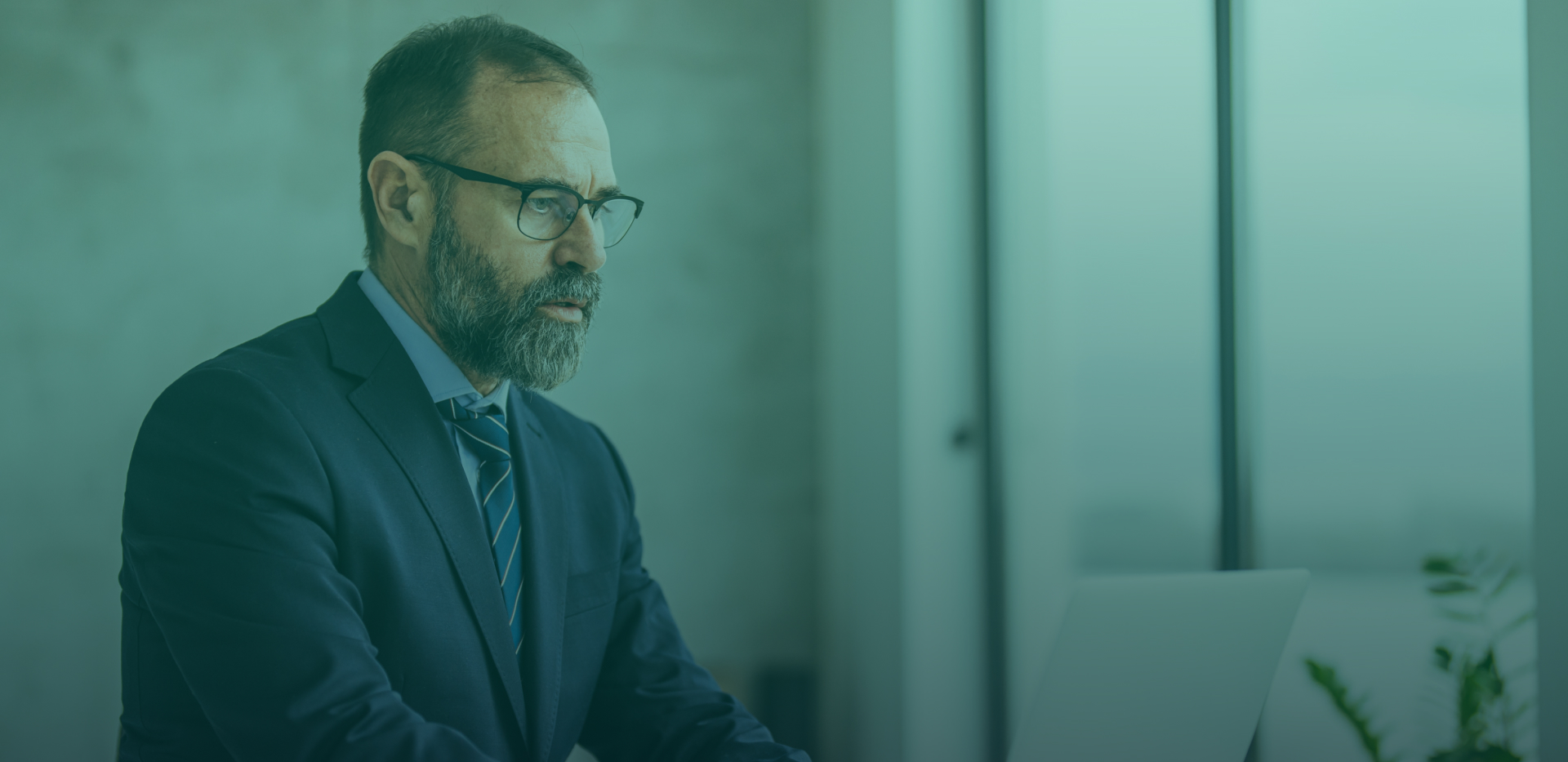 Banner 7 | Braintree