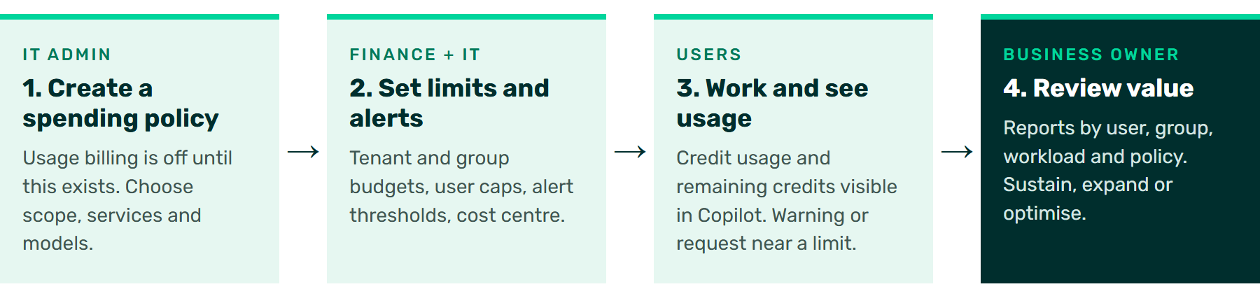 Enterprise policy responsibilities: IT creates the policy, finance and IT set limits, users monitor usage, and the business owner reviews value.
